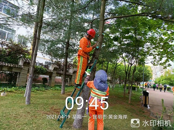 市政管养一体化-沐鸣娱乐环保2