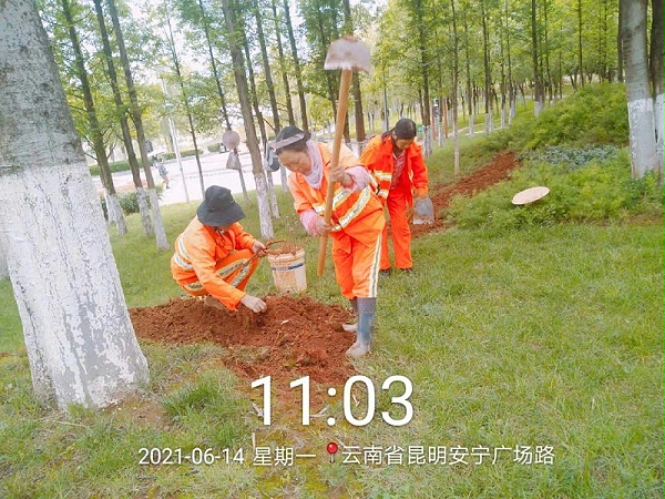 市政管养一体化-沐鸣娱乐环保3