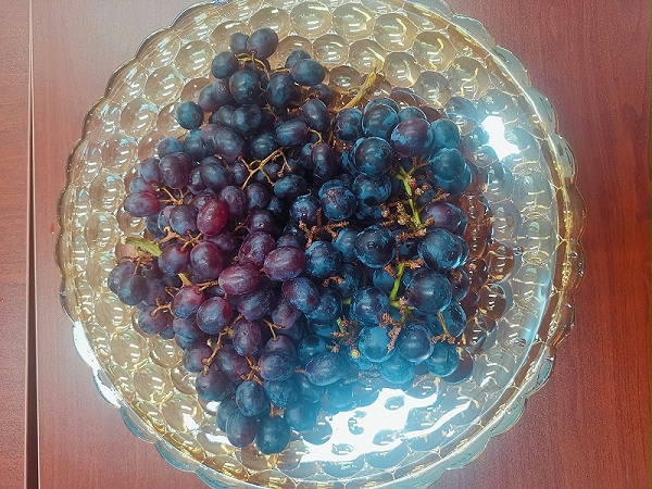 沐鸣娱乐环保端午节茶话会5