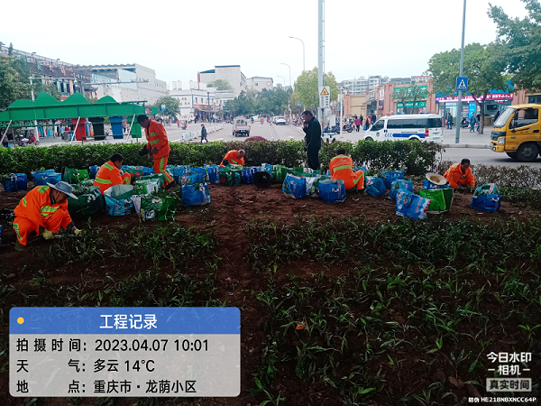 沐鸣娱乐环保：绿化补栽