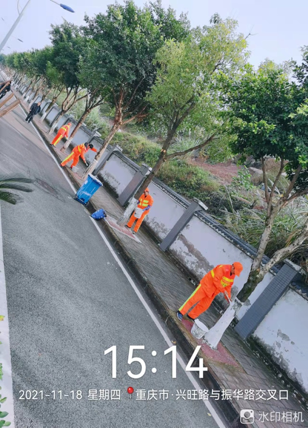 沐鸣娱乐环保：刷白护树