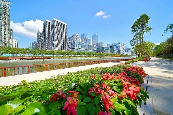 深圳美丽的城市街道-沐鸣娱乐环保