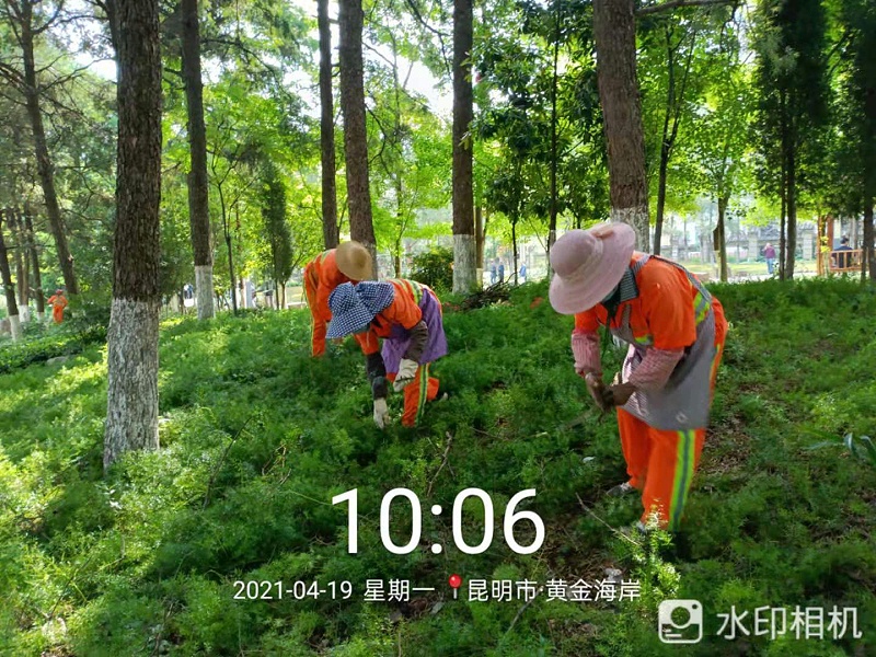 市政管养一体化-沐鸣娱乐环保