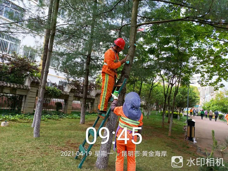 市政管养一体化-沐鸣娱乐环保2
