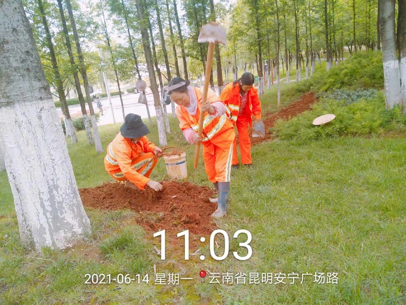 市政管养一体化-沐鸣娱乐环保3