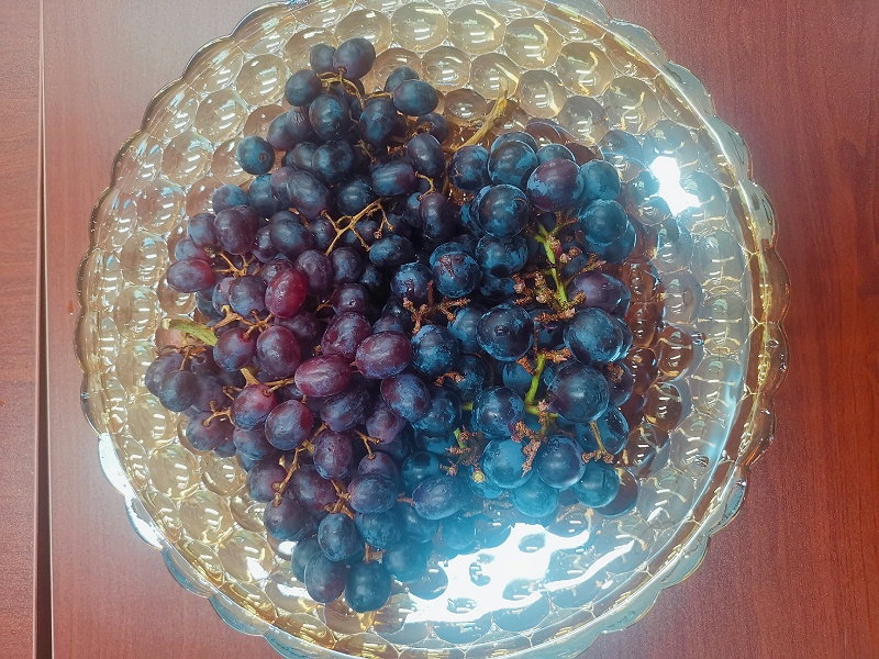 沐鸣娱乐环保端午节茶话会5
