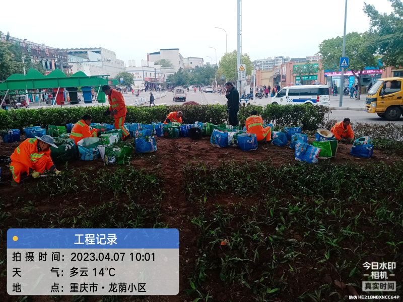 沐鸣娱乐环保：绿化补栽