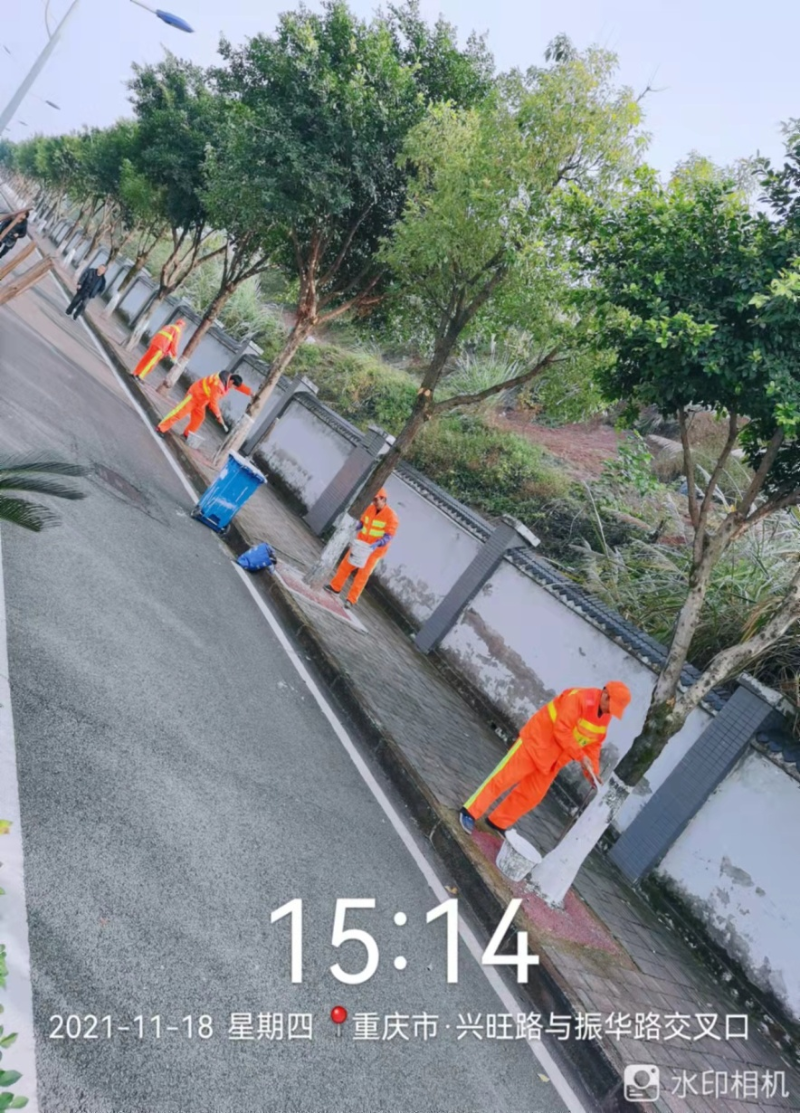 沐鸣娱乐环保：刷白护树