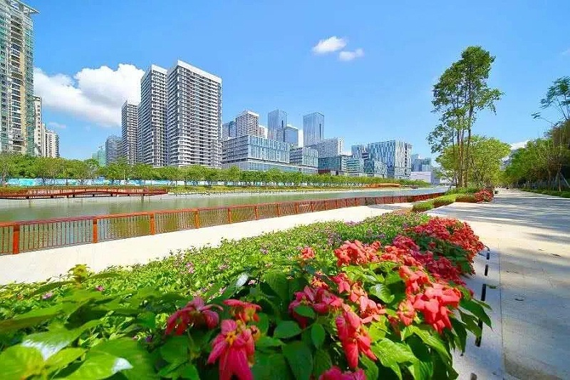 深圳美丽的城市街道-沐鸣娱乐环保